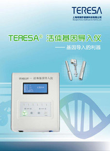 高效技術咨詢 從提問到解決的完整指南